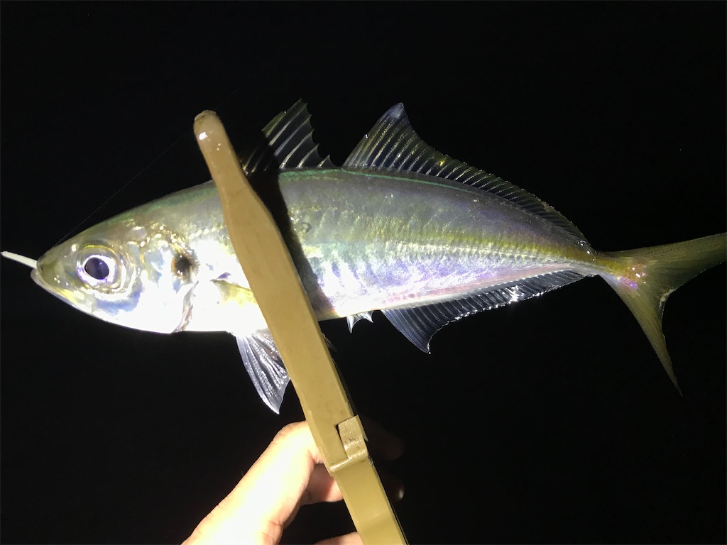 f:id:esojima3:20201226094359j:plain