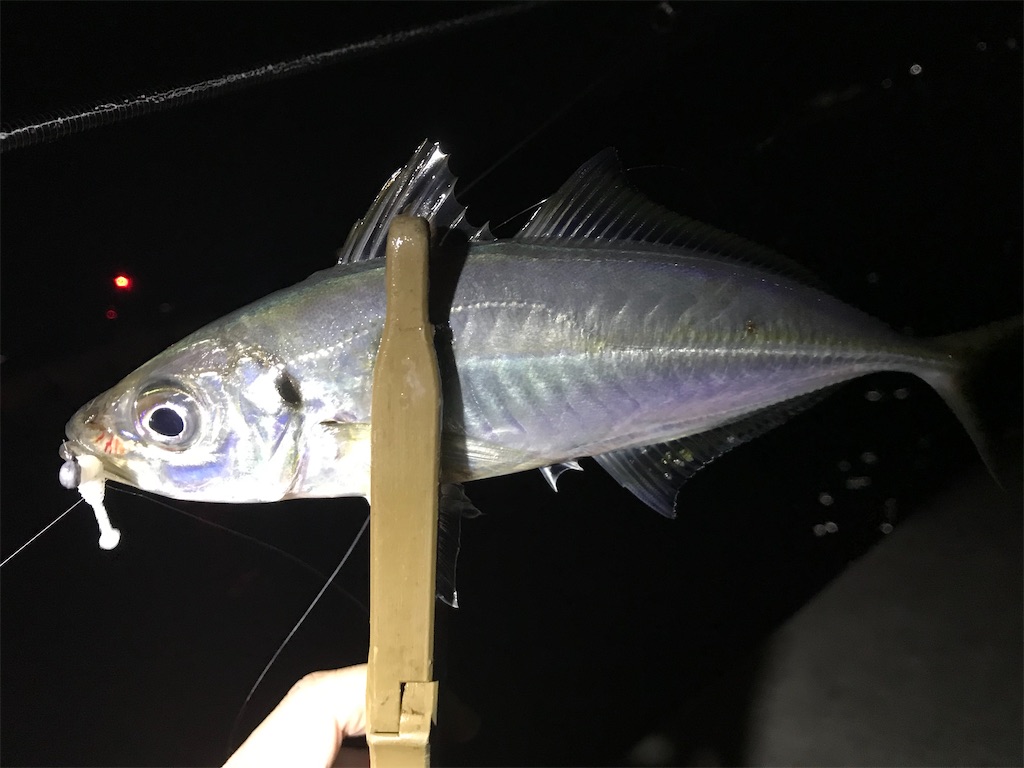 f:id:esojima3:20201226100926j:plain