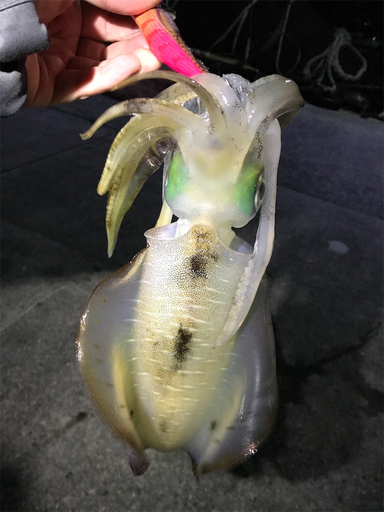 f:id:esojima3:20201227102733j:plain