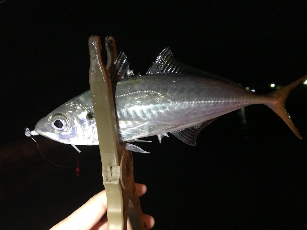 f:id:esojima3:20201228233539j:plain