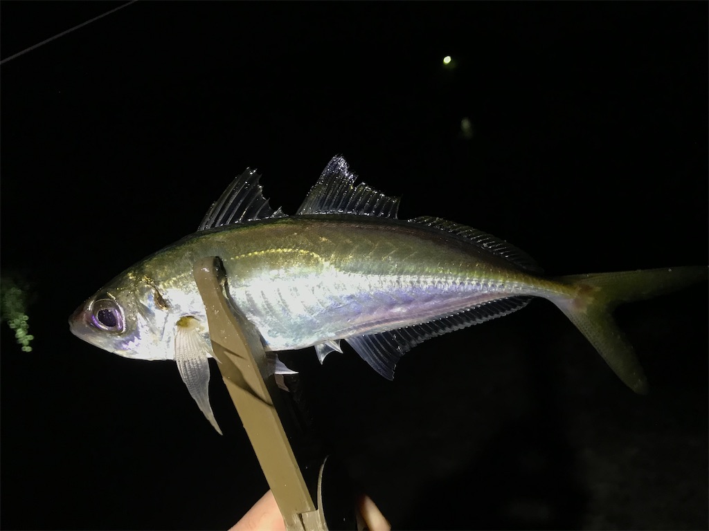 f:id:esojima3:20201229211522j:plain