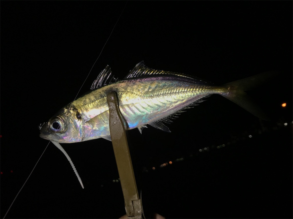 f:id:esojima3:20201229211527j:plain