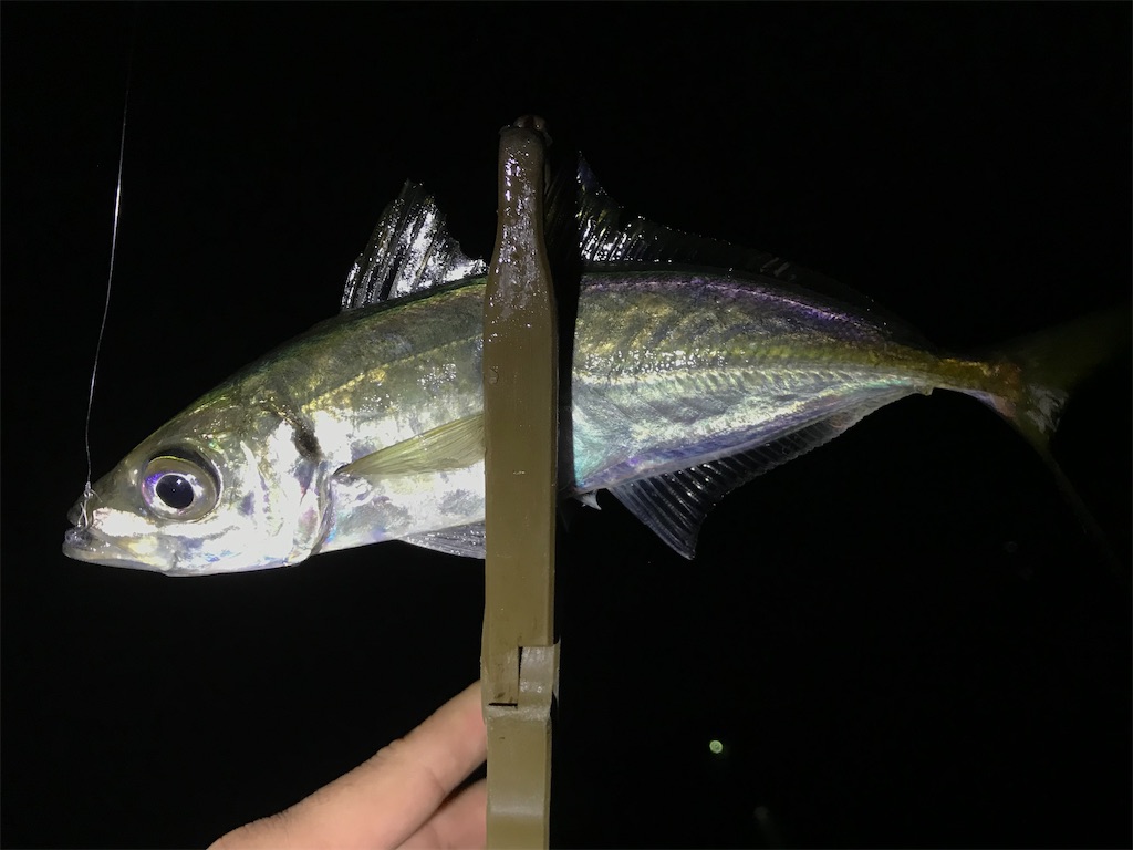f:id:esojima3:20201229211648j:plain