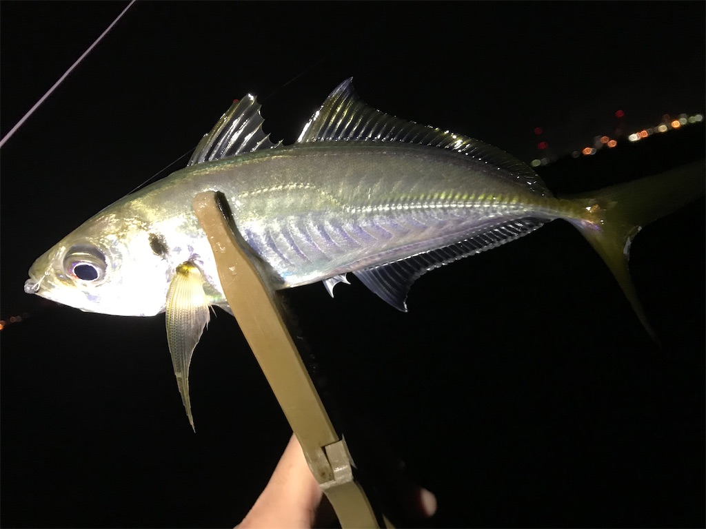 f:id:esojima3:20201229211654j:plain