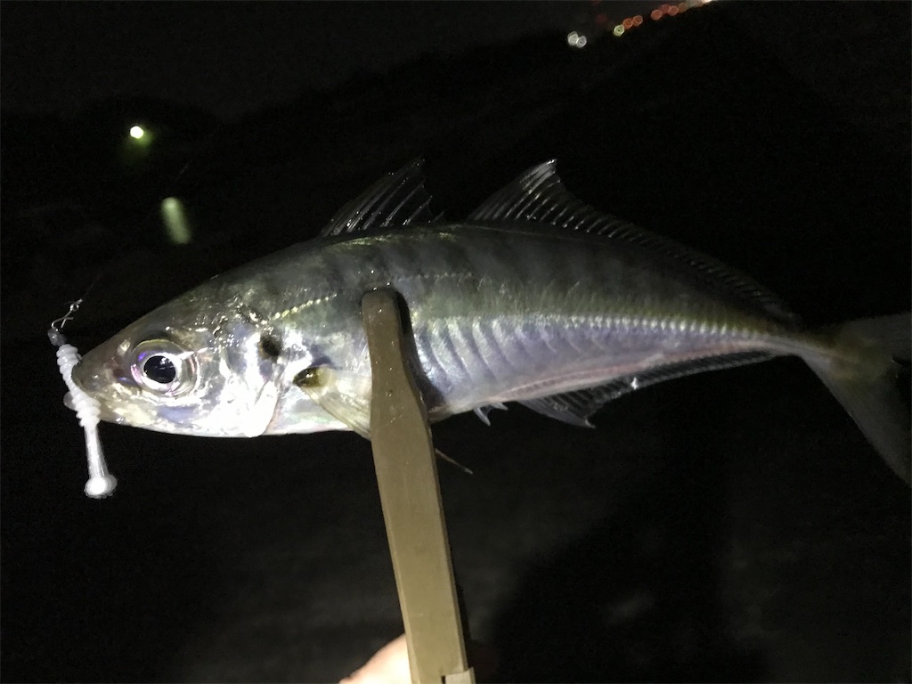 f:id:esojima3:20201229211706j:plain