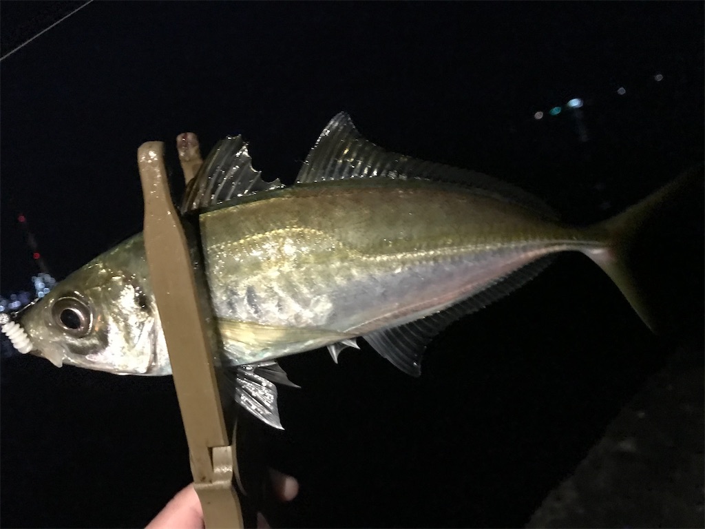 f:id:esojima3:20201229211753j:plain