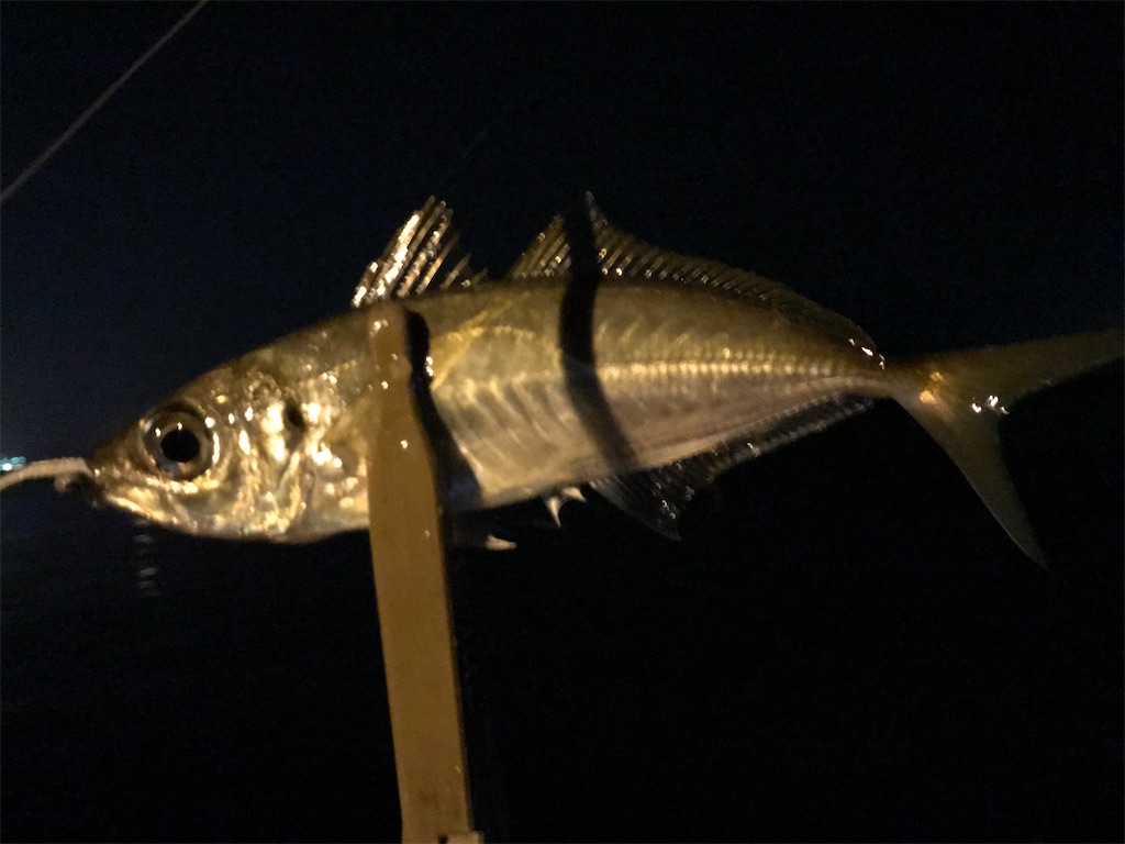 f:id:esojima3:20210113223814j:plain