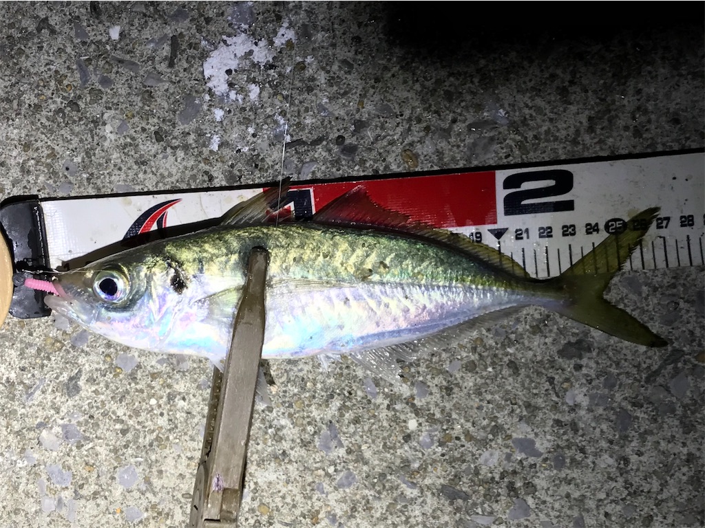 f:id:esojima3:20210120203113j:plain