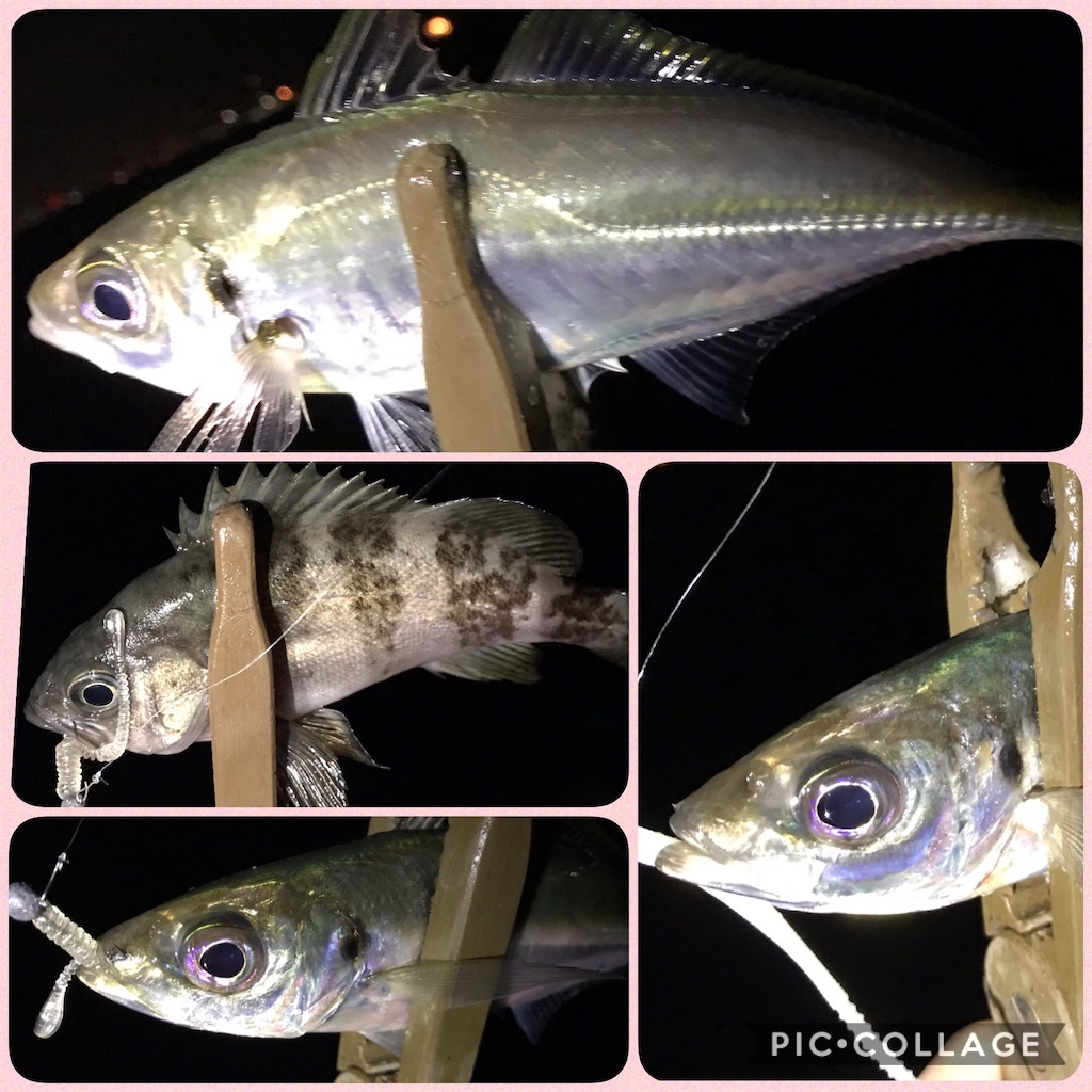 f:id:esojima3:20210207223639j:plain