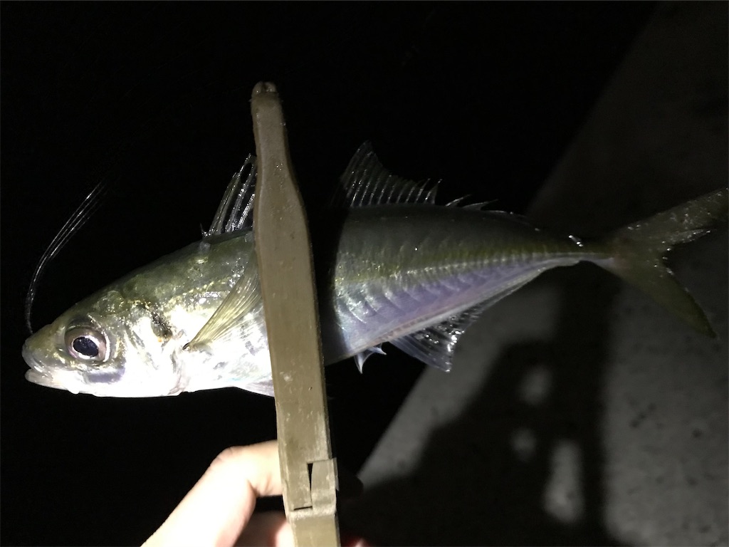 f:id:esojima3:20210411173153j:plain