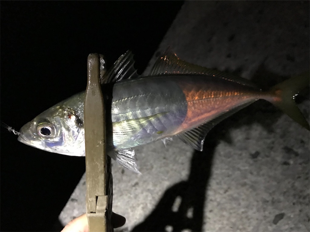 f:id:esojima3:20210411173210j:plain