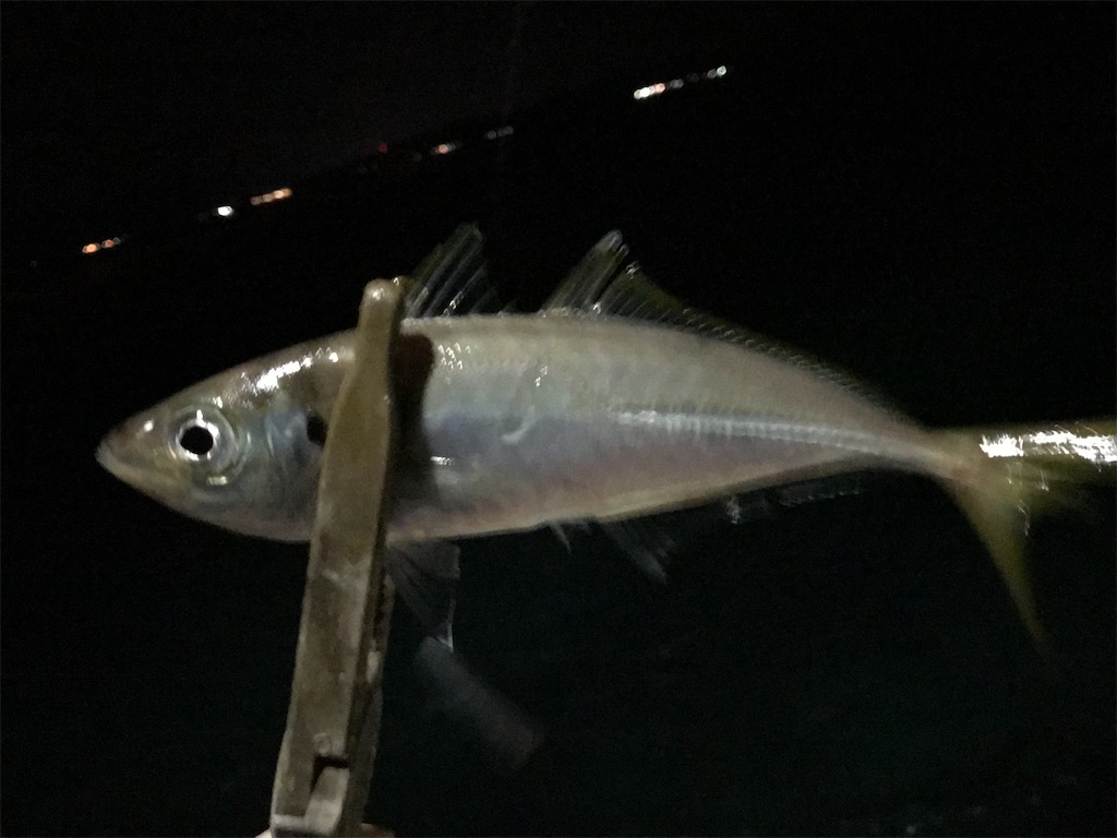 f:id:esojima3:20210502113415j:plain