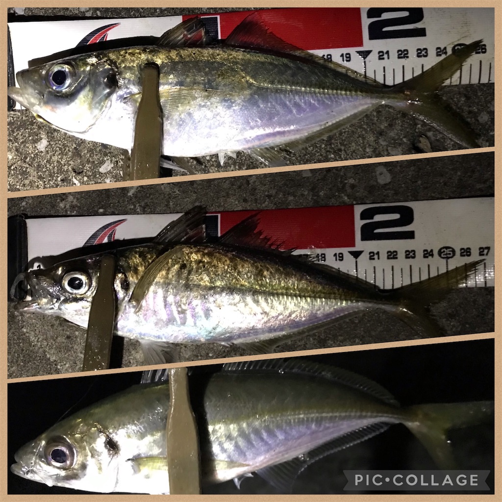 f:id:esojima3:20210515191504j:plain