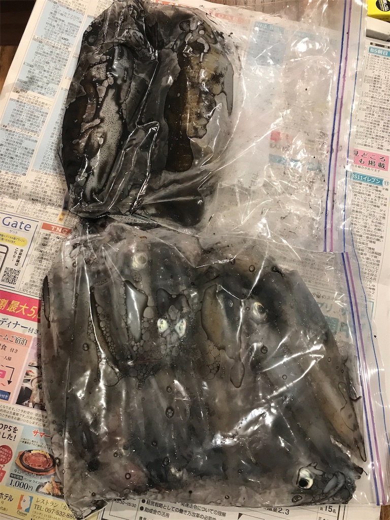 f:id:esojima3:20210815111459j:plain