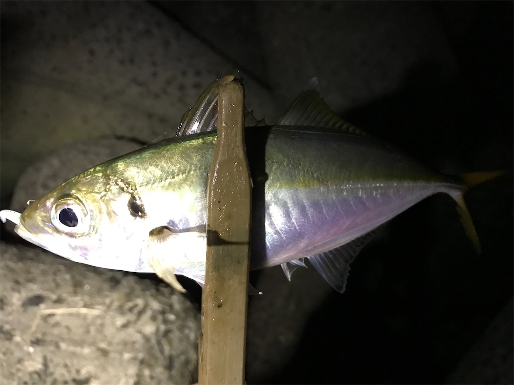 f:id:esojima3:20210901225034j:plain