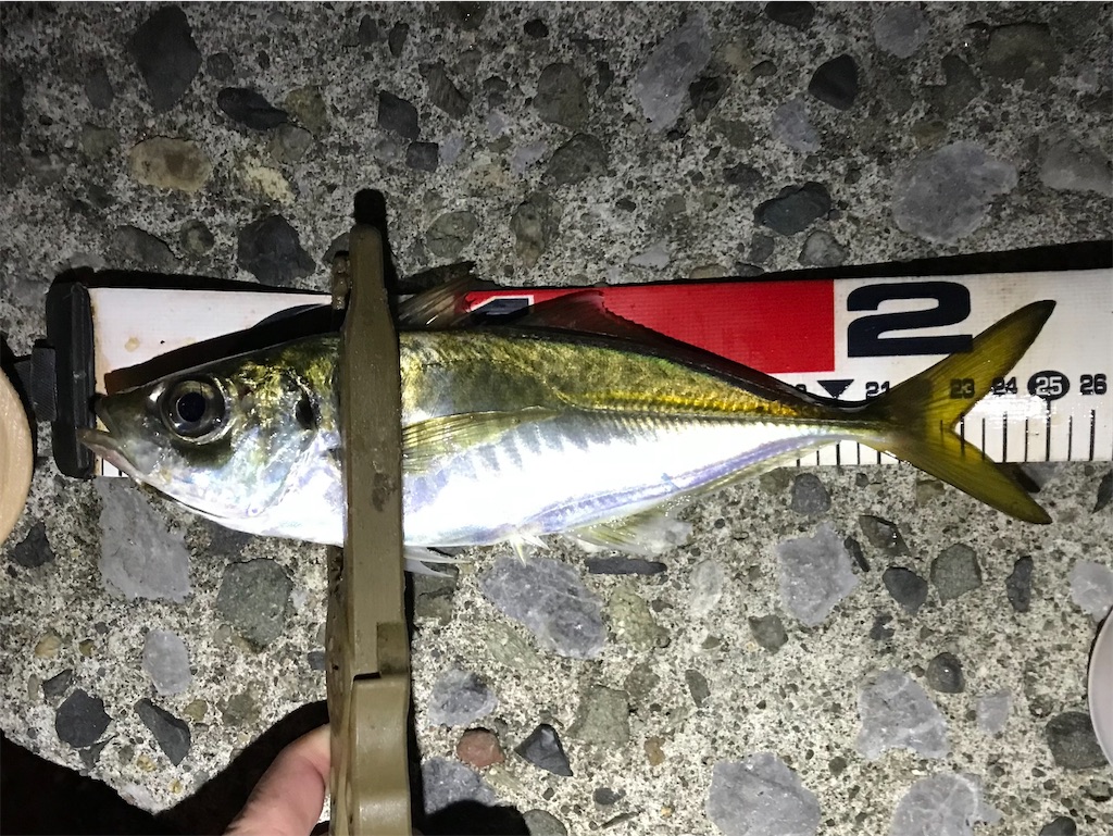 f:id:esojima3:20211111121133j:plain