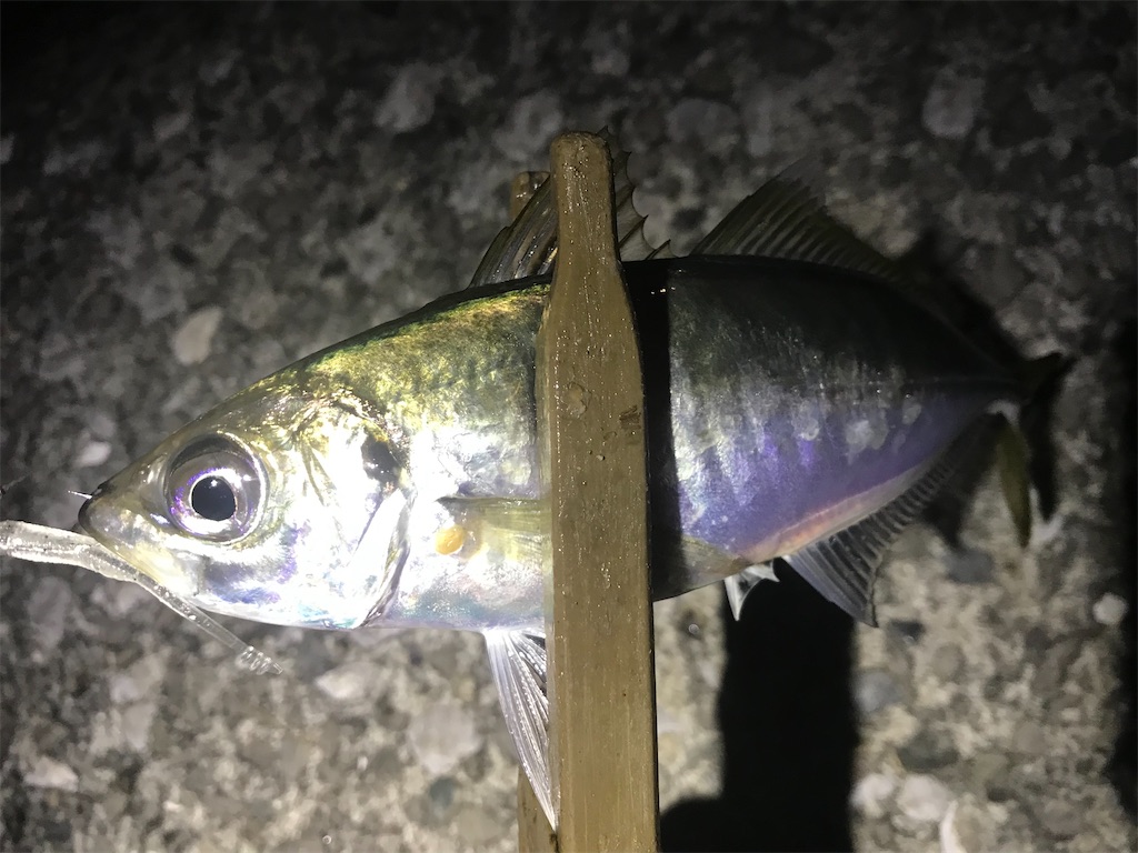 f:id:esojima3:20211118232334j:plain