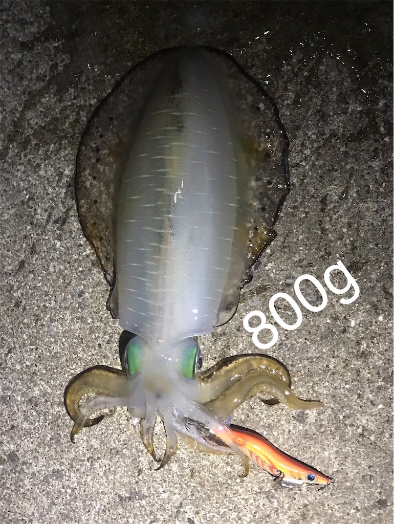 f:id:esojima3:20211123085414j:plain