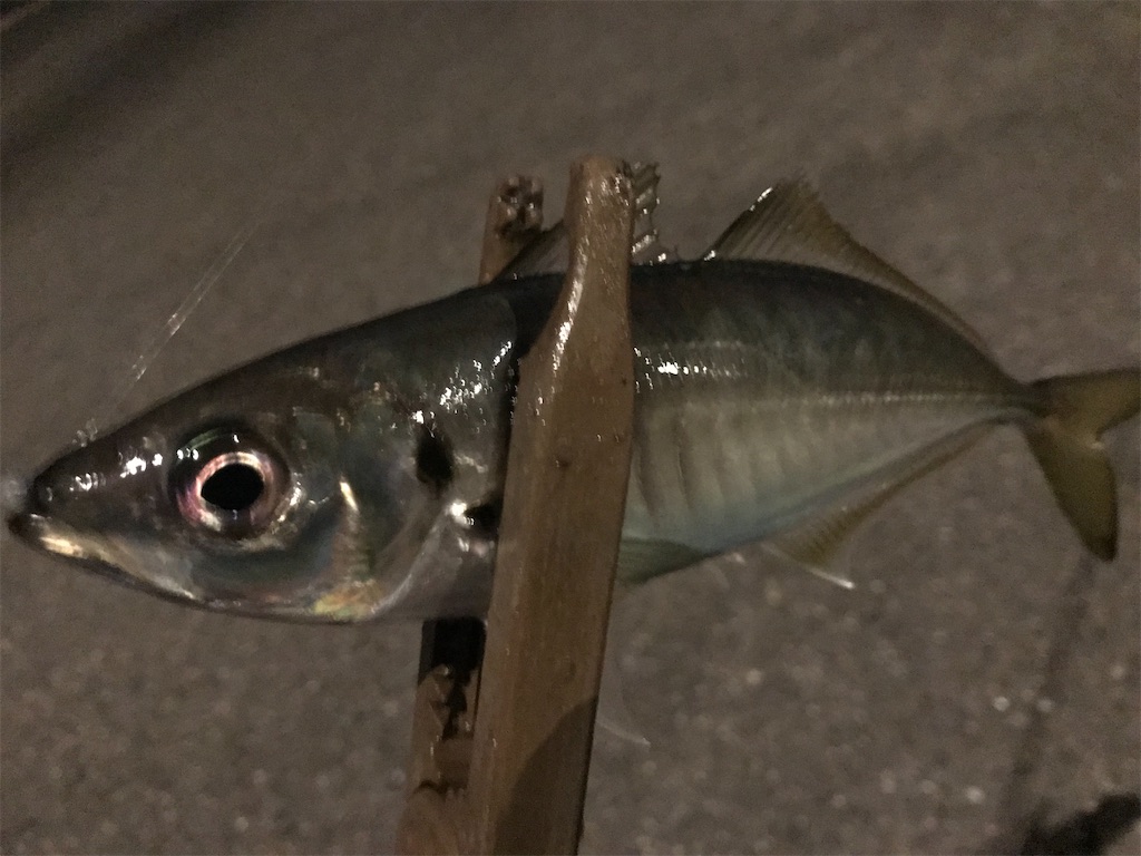 f:id:esojima3:20211205224210j:plain