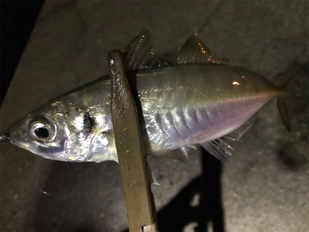 f:id:esojima3:20211209065159j:plain
