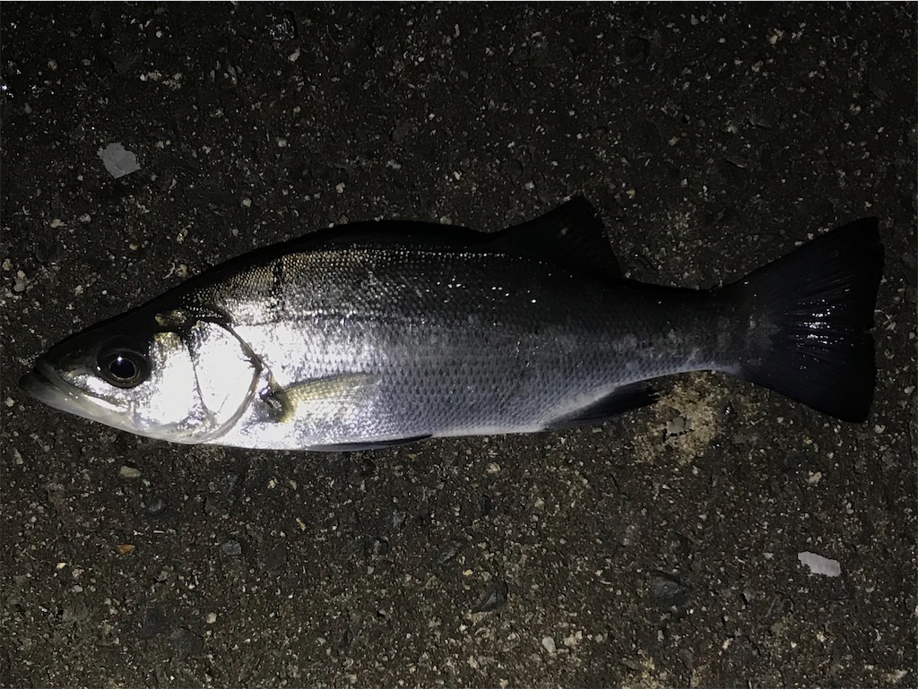 f:id:esojima3:20220110202054j:plain