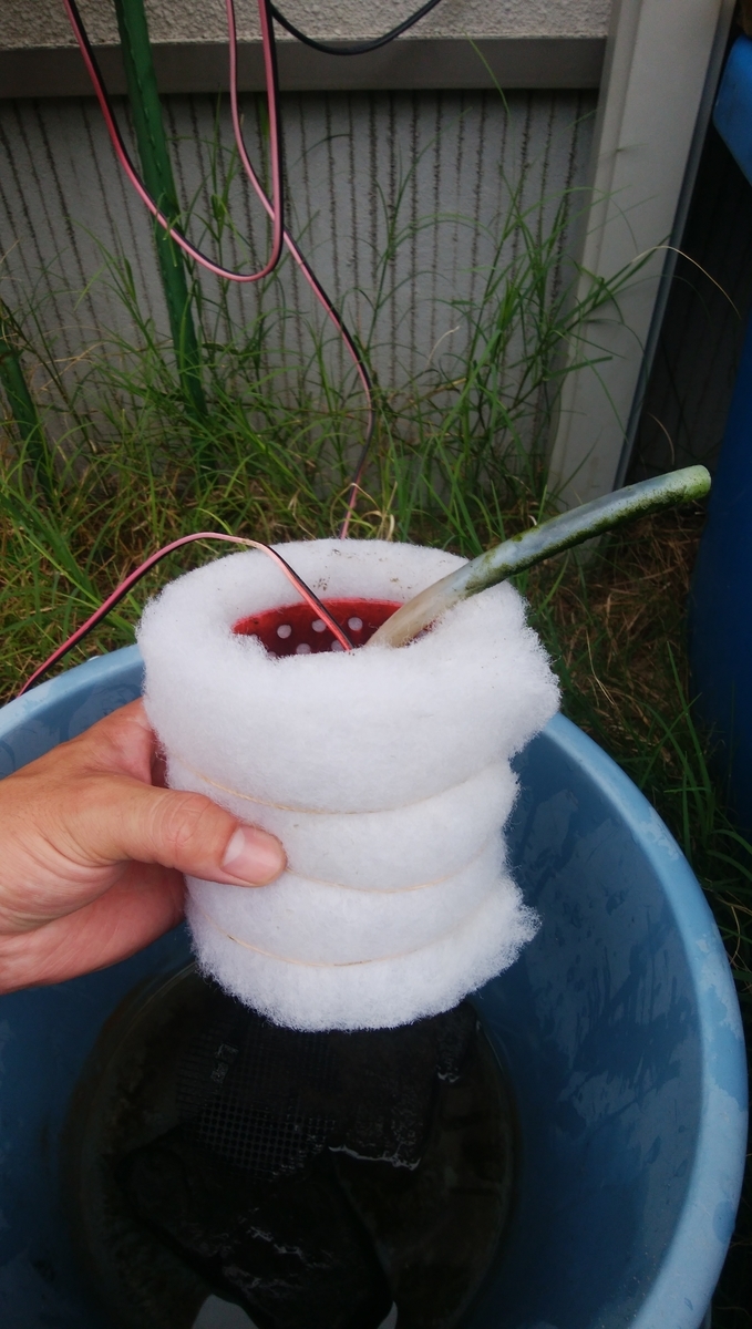 f:id:esotengoku:20190811063719j:plain f:id:esotengoku:20190811063719j:plain
