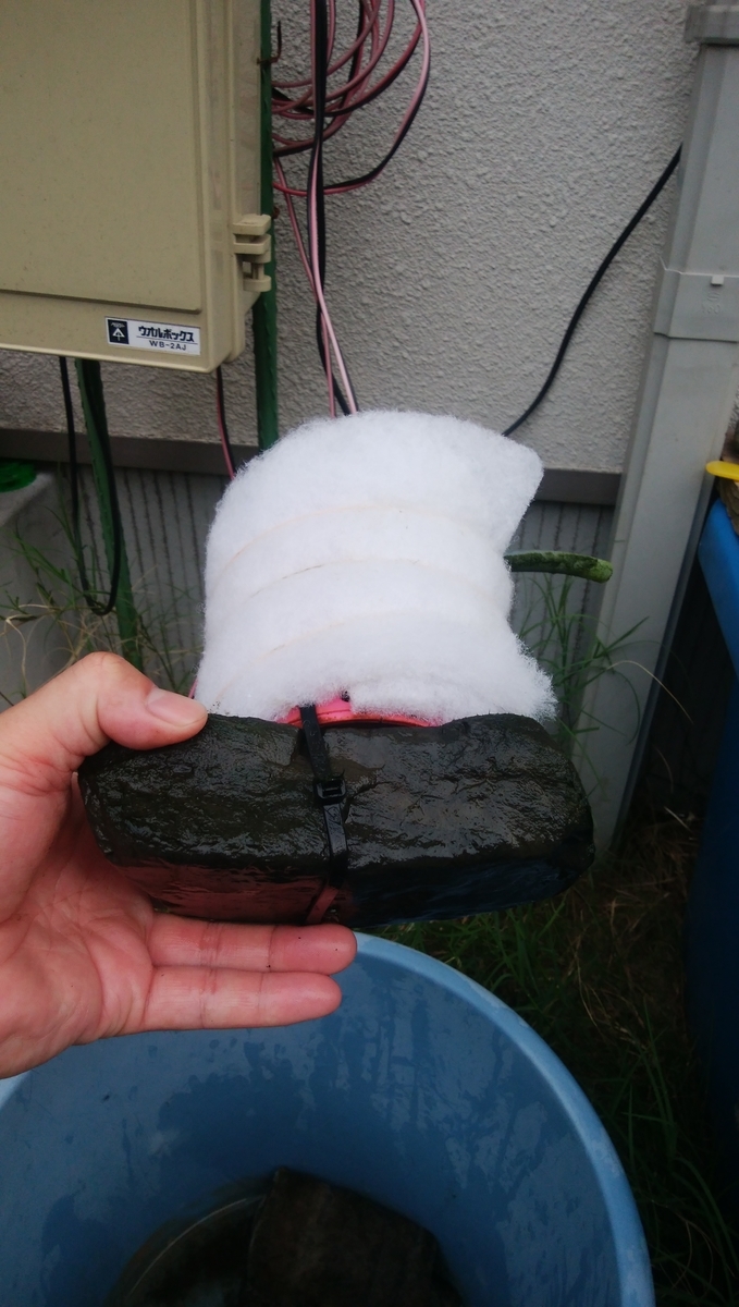 f:id:esotengoku:20190811063744j:plain f:id:esotengoku:20190811063744j:plain