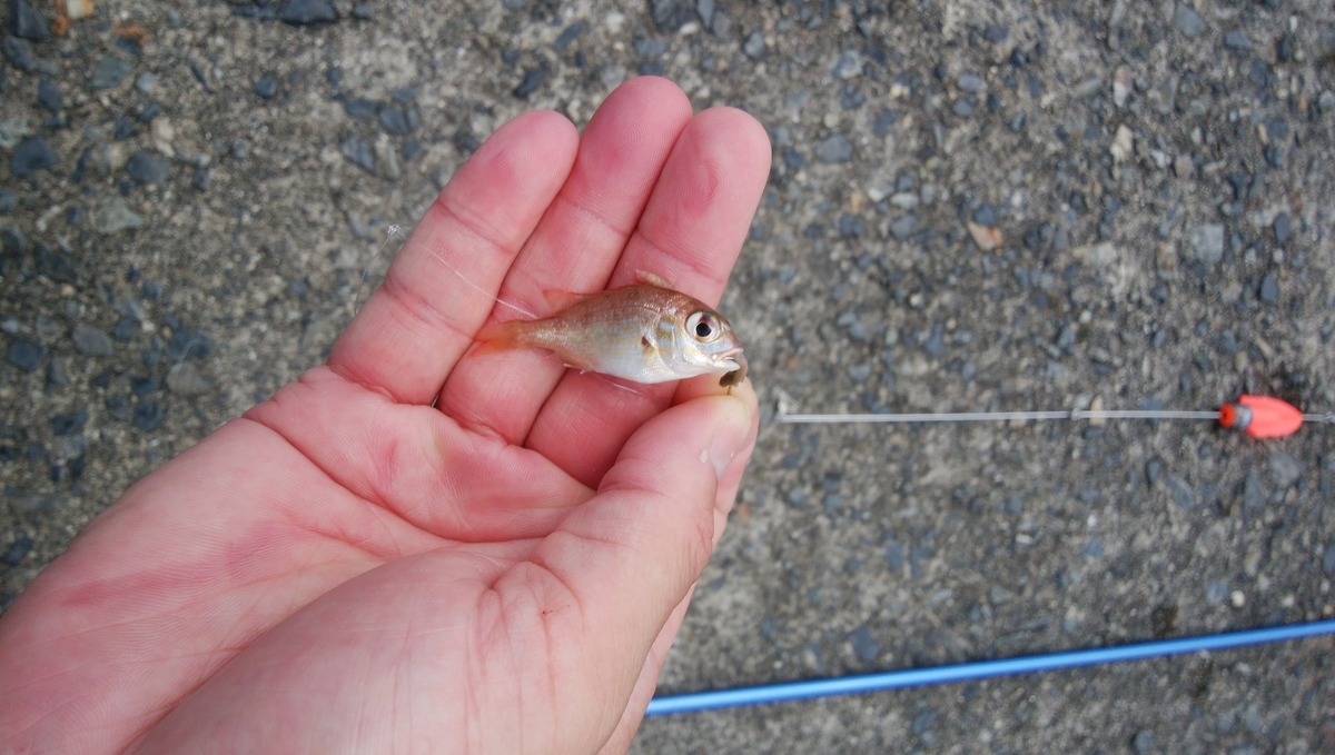 f:id:esotengoku:20190910074030j:plain f:id:esotengoku:20190910074030j:plain