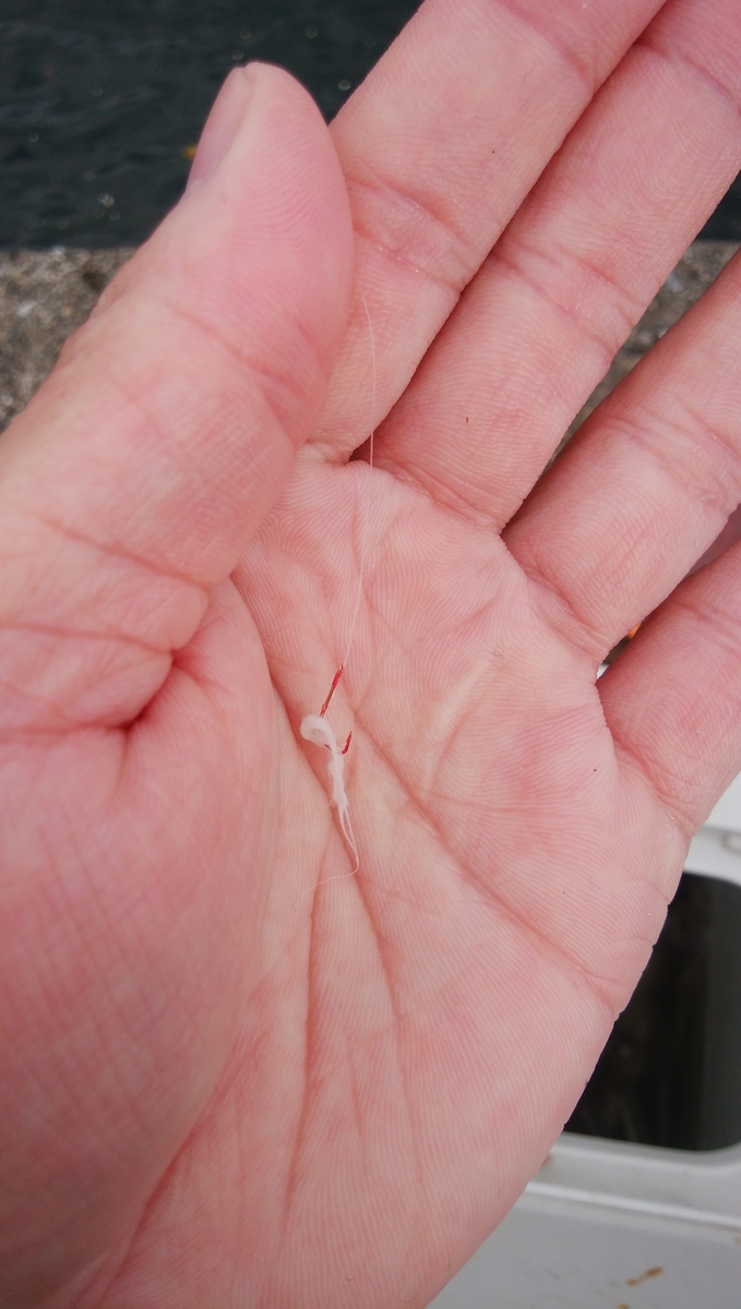 f:id:esotengoku:20190912204859j:plain