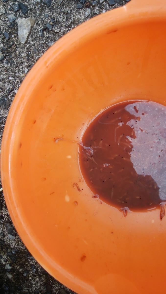 f:id:esotengoku:20190912204940j:plain