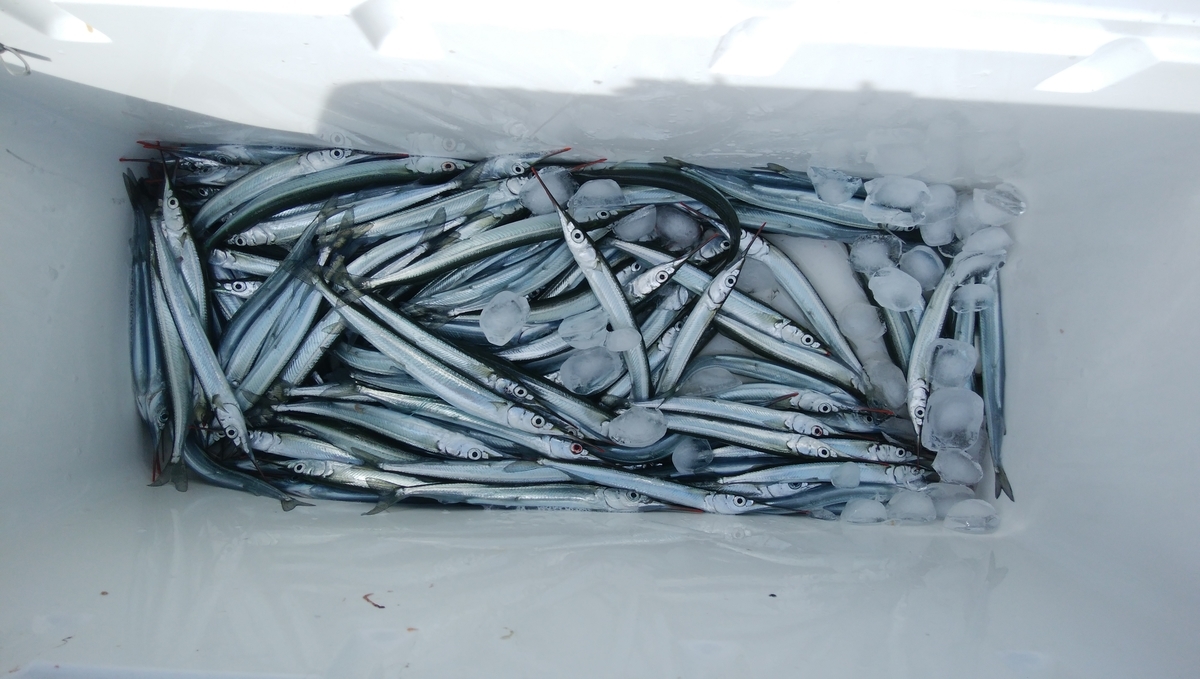 f:id:esotengoku:20190912205223j:plain