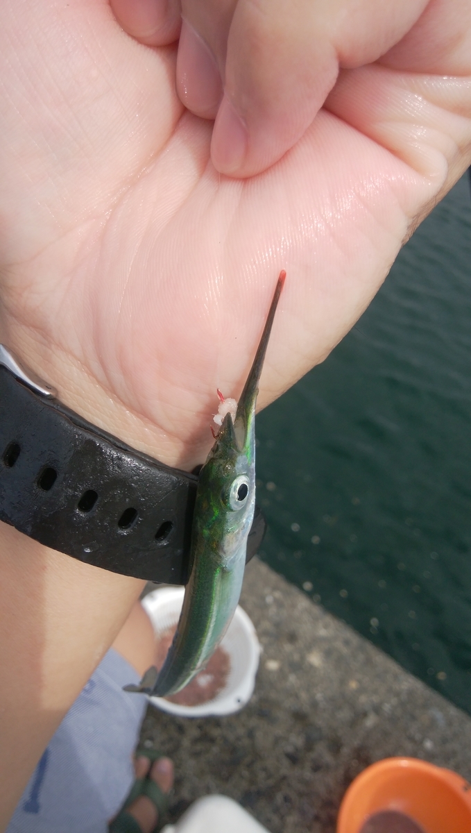 f:id:esotengoku:20190912205250j:plain