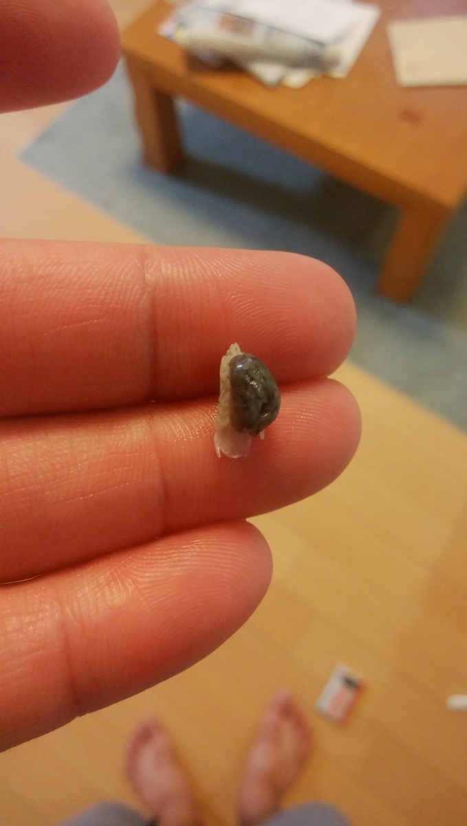 f:id:esotengoku:20190912205436j:plain