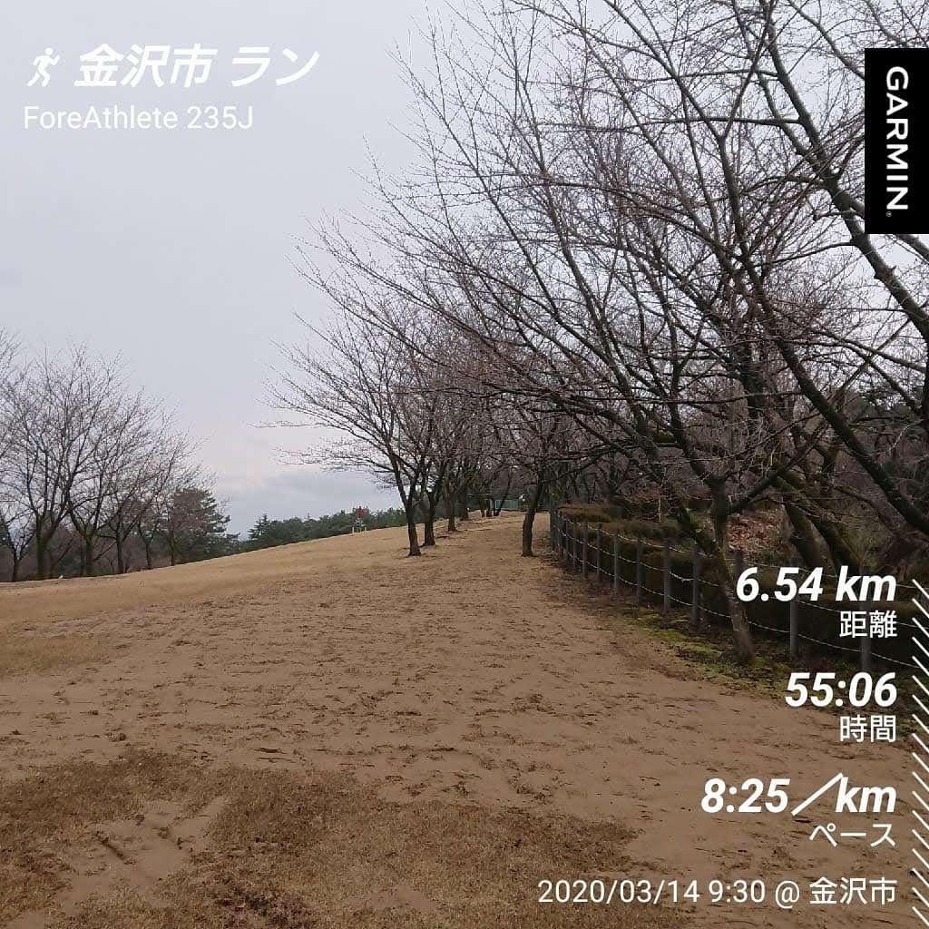 f:id:espokun:20200315133031j:plain