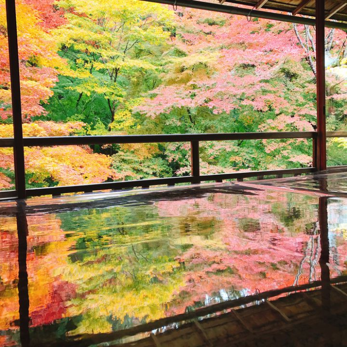 f:id:esposekibe:20181011145840p:plain