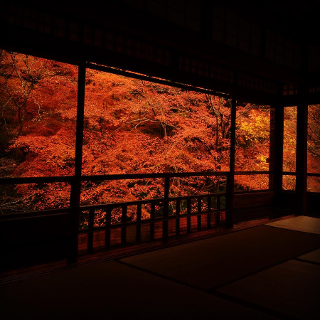 f:id:esposekibe:20181011145939p:plain