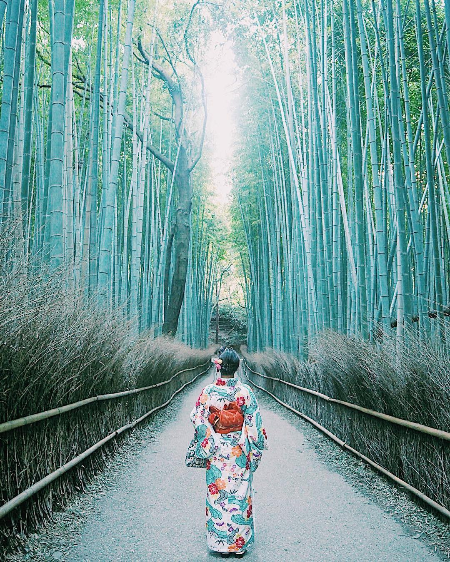 f:id:esposekibe:20181011150619p:plain