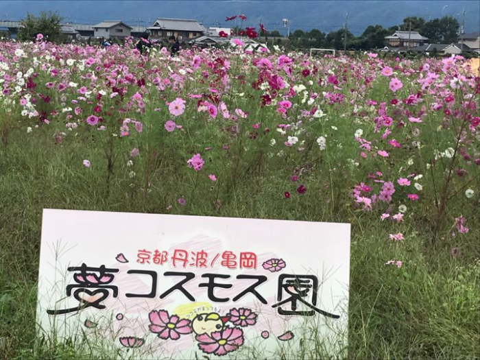 f:id:esposekibe:20181011150711p:plain