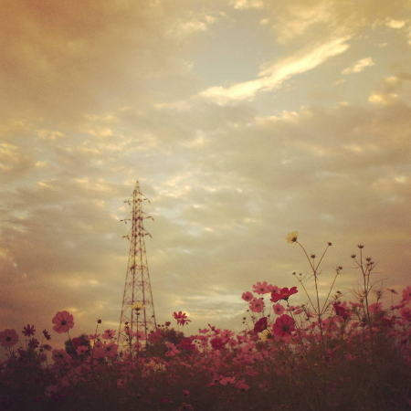 f:id:esposekibe:20181011150730p:plain