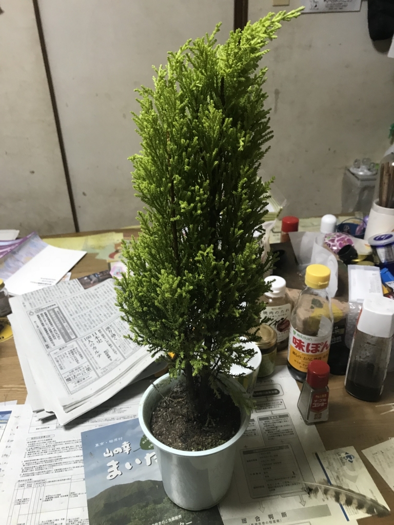 f:id:essenblog:20171119202728j:plain