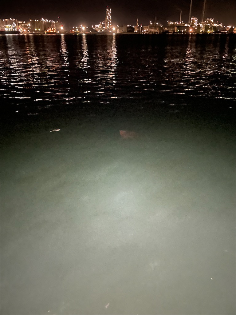 f:id:establishWilson:20210904235430j:image