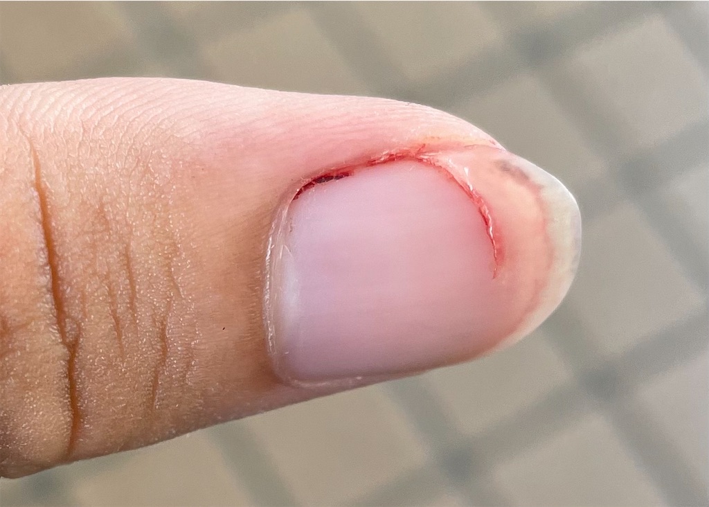 f:id:establishWilson:20210909121203j:image