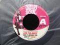 LOS FULANOS / USE IT BEFORE YOU LOSE IT ( 新品 ) ( 7EP )