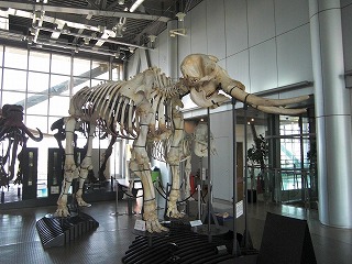 f:id:estate-miyagi:20120604165653j:image