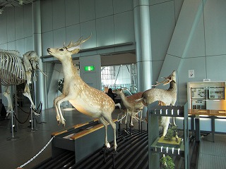 f:id:estate-miyagi:20120604165654j:image