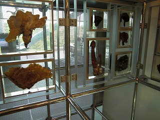 f:id:estate-miyagi:20120604170212j:image