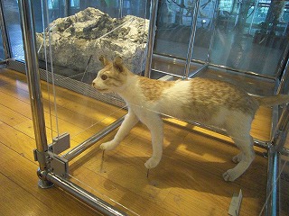 f:id:estate-miyagi:20120604170213j:image