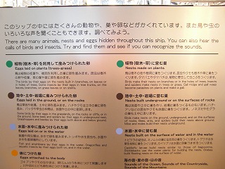 f:id:estate-miyagi:20120604170215j:image
