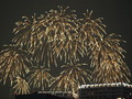 [ZD 40-150mm F3.5-4.5]第21回東京湾大華火祭