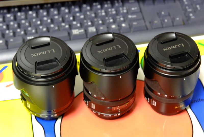 LEICA D VARIO-ELMARIT 14-50mm F2.8-3.5 - estelの雑記帳
